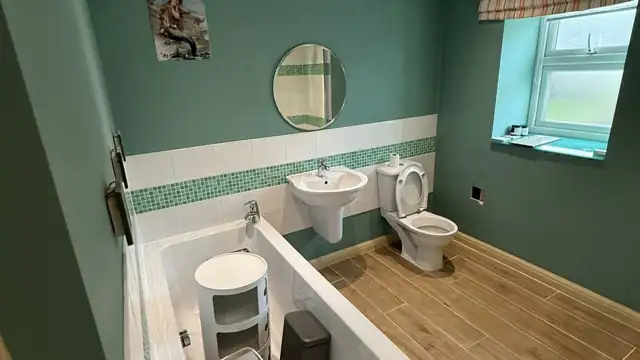 entis-green-bathroom-before